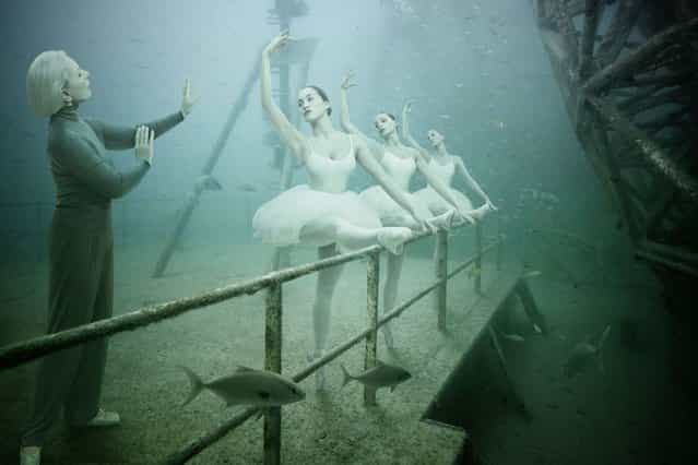 Vandenberg Project by Andreas Franke