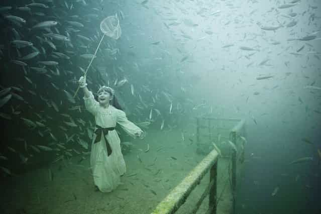 Vandenberg Project by Andreas Franke