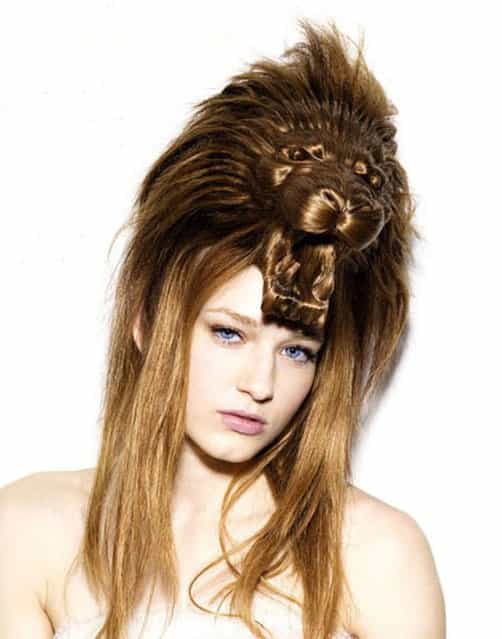 Creative Animal Hair Style Collections