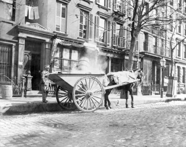 Horse-drawn ash cart. New York City, circa 1896. (Photo by Elizabeth Alice Austen)