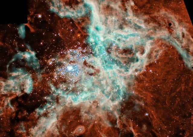 The 30 Doradus Nebula, a fertile star-forming region is seen in this panoramic mosaic portrait released by NASA July 26, 2001 of a vast, sculpted landscape of gas and dust where thousands of stars are being born. (Photo by NASA)