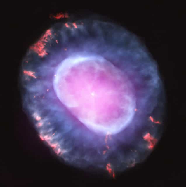 This image is of planetary nebula NGC 7662 as seen with the Chandra X-Ray Observatory. A planetary nebula is a phase of stellar evolution that the sun should experience several billion years from now, when it expands to become a red giant and then sheds most of its outer layers, leaving behind a hot core that contracts to form a dense white dwarf star. This image was released October 10, 2012. (Photo by J. Kastner/NASA/CXC/RIT)