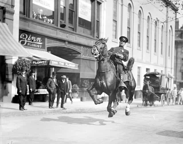 Mounted cop in action on Tremont Street, 1920 – 1929 (approximate). (Photo by Leslie Jones)