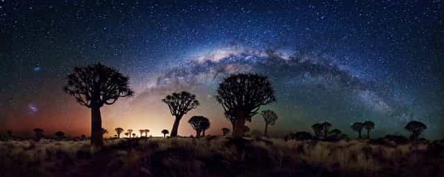The southern winter sky shows off its best in this 240 degree view of the Milky Way behind the Quiver Tree Forest near Keetmanshoop, Namibia. Both Magellanic clouds are visible on the left, while the central bulge of our own galaxy contrasts with the warm glow of light pollution from the nearby town. (Photo by Florian Breuer/2013 Sony World Photography Awards)