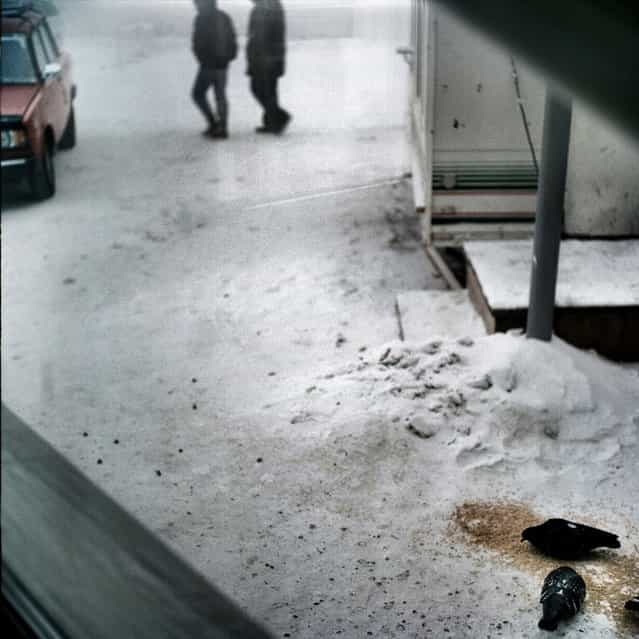 January 2013. A scene in Yakutsk, Siberia, the coldest city in the world. (Photo by Steeve Iuncker/Agence VU)