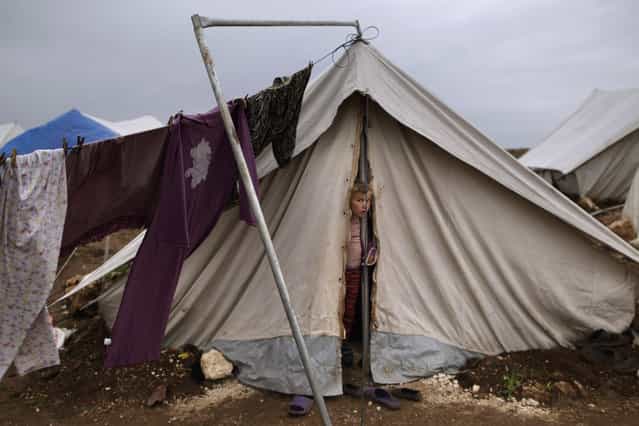 A Syrian girl, whose family fled their home in Idlib, looks out of a tent tent, at a camp for displaced Syrians, in the village of Atmeh, Syria, Monday, December 10, 2012. (Photo by Muhammed Muheisen/AP Photo)
