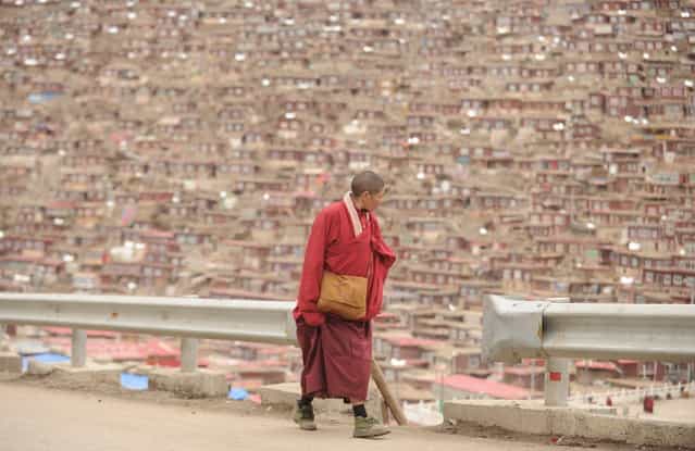 This photo taken on April 4, 2013 shows Buddhist nun looking out over housing, in Seda Monastery, the largest Tibetan Buddhist school in the world, with up to 40,000 monks and nuns in residence for some parts of the year. Seda, known to Tibetans as Serthar is located in Ganzi prefecture in the west of China's Sichuan province and has become a hotbed of protests and violence since the Tibetan uprisings of March 2008. More than 110 Tibetans have set themselves alight since 2009, with most dying of their injuries, in demonstrations against what they view as Chinese oppression which Beijing rejects pointing to substantial investment in Tibet and other regions with large Tibetan populations, although critics say economic development has brought an influx of ethnic Han Chinese and eroded traditional Tibetan culture. (Photo by Peter Parks/AFP Photo)