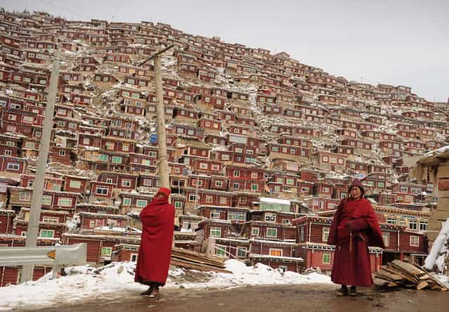 This photo taken on April 5, 2013 shows Buddhist monks walking in front of the thousands of small houses where they live at Seda Monastery, the largest Tibetan Buddhist school in the world, with up to 40,000 monks and nuns in residence for some parts of the year. Seda, known to Tibetans as Serthar is located in Ganzi prefecture in the west of China's Sichuan province and has become a hotbed of protests and violence since the Tibetan uprisings of March 2008. More than 110 Tibetans have set themselves alight since 2009, with most dying of their injuries, in demonstrations against what they view as Chinese oppression which Beijing rejects pointing to substantial investment in Tibet and other regions with large Tibetan populations, although critics say economic development has brought an influx of ethnic Han Chinese and eroded traditional Tibetan culture. (Photo by Peter Parks/AFP Photo)