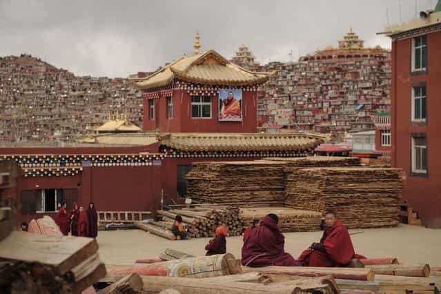 This photo taken on April 4, 2013 shows Buddhist monks sitting on logs chatting, in Seda Monastery, the largest Tibetan Buddhist school in the world, with up to 40,000 monks and nuns in residence for some parts of the year. Seda, known to Tibetans as Serthar is located in Ganzi prefecture in the west of China's Sichuan province and has become a hotbed of protests and violence since the Tibetan uprisings of March 2008. More than 110 Tibetans have set themselves alight since 2009, with most dying of their injuries, in demonstrations against what they view as Chinese oppression which Beijing rejects pointing to substantial investment in Tibet and other regions with large Tibetan populations, although critics say economic development has brought an influx of ethnic Han Chinese and eroded traditional Tibetan culture. (Photo by Peter Parks/AFP Photo)