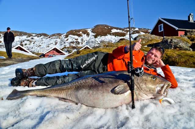 In this photo made available today, German angler Michael Eisele poses with the 103.6 pound cod fish that he caught in near Hammerfest, northern Norway, on April 28, 2013. (Photo by Soroya Havfiskesenter/NTB scanpix)