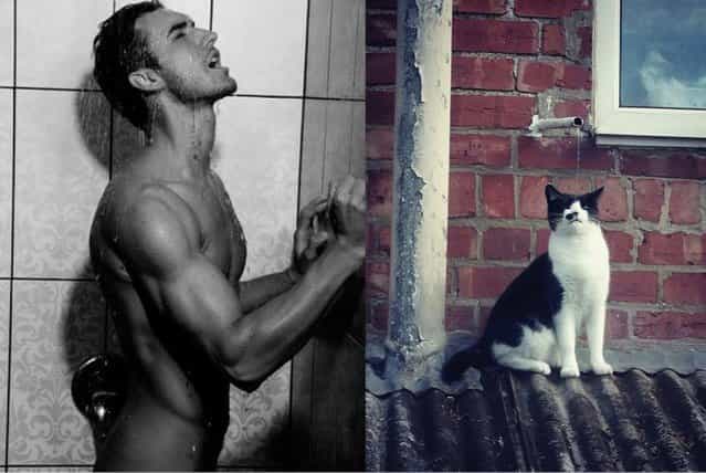 Hot Guys and Cats Striking Part2