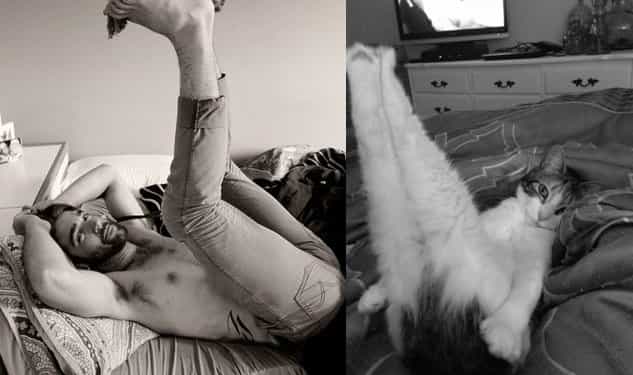 Hot Guys and Cats Striking Part2