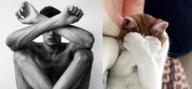Hot Guys and Cats Striking Part3