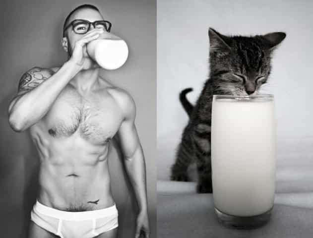 Hot Guys and Cats Striking Part3