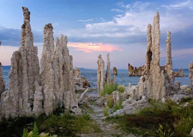 Tufa pinnacles at Mono Lake in Sierra Nevada – Mono Lake is a closed hydrological basin meaning water flows into it but it doesnt flow out. The only way for water to leave is through evaporation. Four vertical feet of water can evaporate during the course of a year. (Photo by Bob Gibbons/Ardea/Caters News)