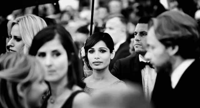 Frieda Pinto attends [The Bling Ring] premiere. (Photo by Gareth Cattermole/Getty Images)