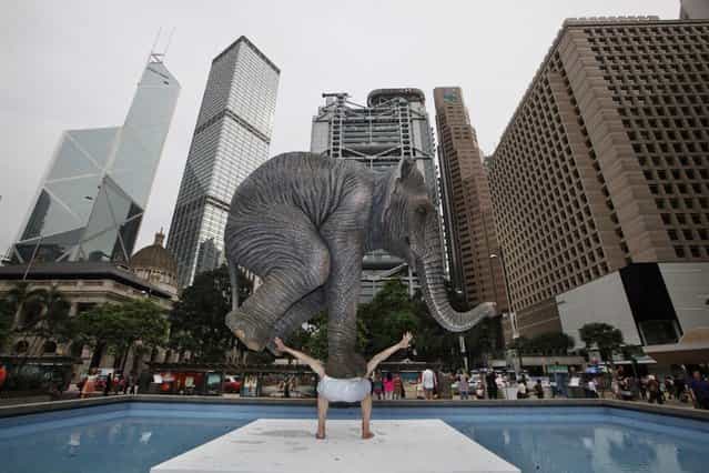 A five meters high sculpture [Pentateuque] created by Contemporary French artist Fabien Merelle, is displayed in Central, business district of Hong Kong, Tuesday, May 21, 2013. The artwork brings to real life the fantastical and seemingly impossible act of an average man balancing a gigantic elephant. The elephant and the man are modeled on one at the Singapore Zoo and on the artist himself. (AP Photo/Kin Cheung)