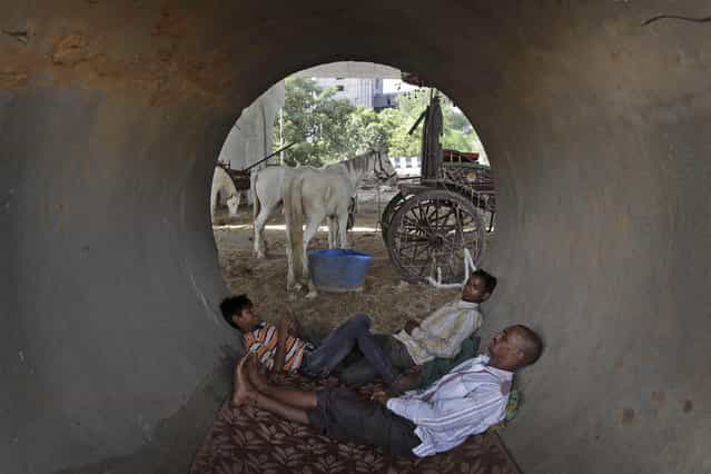 Indian horse cart owners sleep inside a concrete pipe under a flyover, as their horses feed on a hot afternoon in New Delhi, India , Friday, May 24, 2013. The capital city has been reeling under a heat wave with temperature crossing 45 degree Celsius (113 degree Fahrenheit) on Friday. (Photo by Manish Swarup/AP Photo)