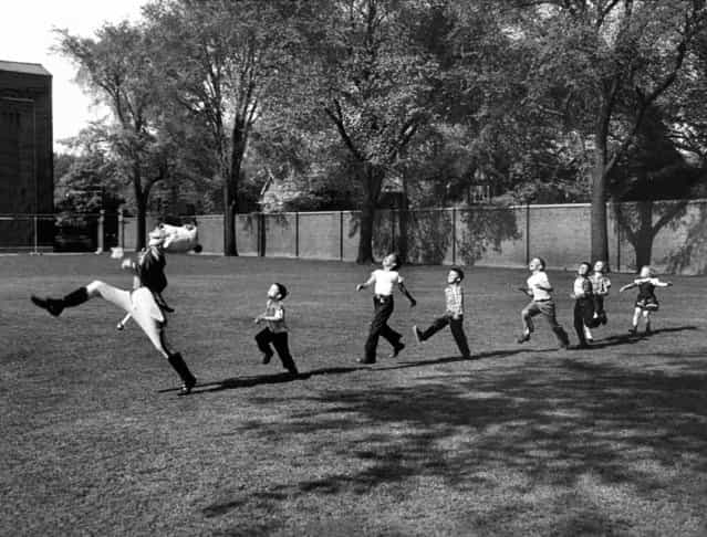 Uniformed drum major for the University of Michigan marching band practicing his high-kicking prance as he leads a line of seven admiring children who are all trying to imitate his flamboyant technique while marching across the campus lawn, 1950. (Photo by Alfred Eisenstaedt/Time & Life Pictures)