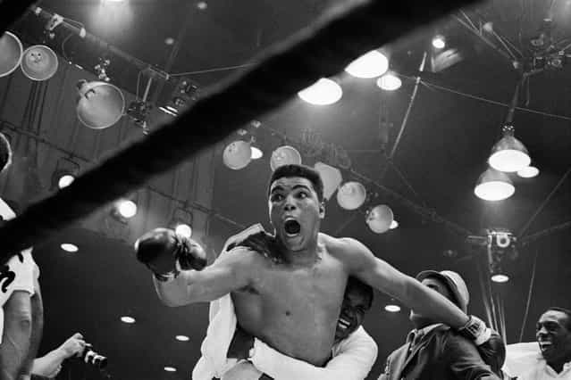 [I'm the champ!] screams Cassius Clay as his handlers hug him joyfully after he defeated Sonny Liston for the heavyweight boxing title. Clay was credited with a 7th round TKO when Liston was unable to answer the bell because of a shoulder injury suffered in the first round. February 25, 1964, Miami Beach, Florida, USA. (Photo by Bettmann/Corbis)