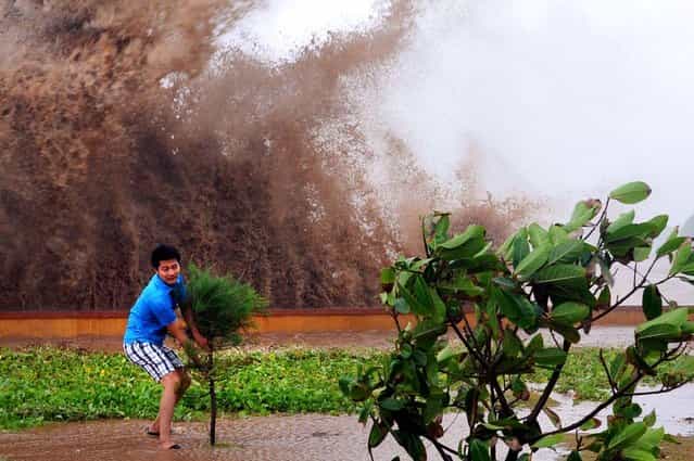 Huge waves crash behind a tourist as he grabs a shrub in strong winds during the passage of tropical storm Conson at the northern coastal city of Hai Phong, Vietnam. (Photo by AFP Photo/Getty Images)
