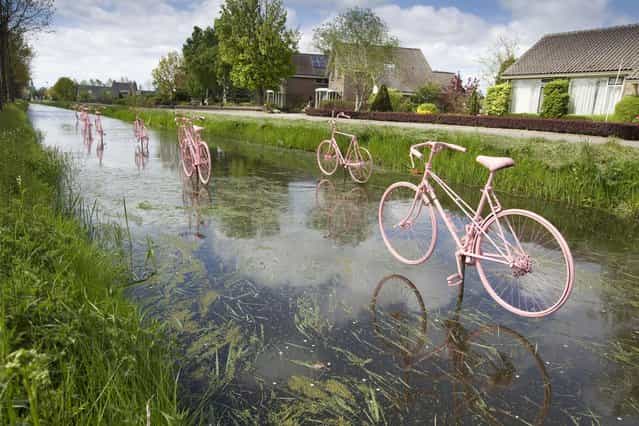 Pink bicycles placed just above the water celebrate the arrival of the Giro d'Italia in Schalkwijk, a small town ouside of Utrecht, May 4, 2010. Several cities in the Netherlands placed pink art forms to announce the departure on May 8 of the international cycling event. (Photo by Michael Kooren/Reuters)