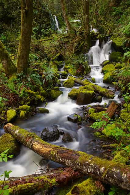 [Spring Cascade]. Cascade Mountains Spring Thaw to the Columbia River. Location: Outside Longview, Washington along the Washington / Oregon Border. (Photo and caption by Gary Migues/National Geographic Traveler Photo Contest)