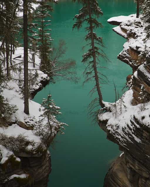 [Glacier Green]. Spring Thaw in the Canadian Rockies. Location: Jasper National Park in Alberta Canada. (Photo and caption by Gary Migues/National Geographic Traveler Photo Contest)