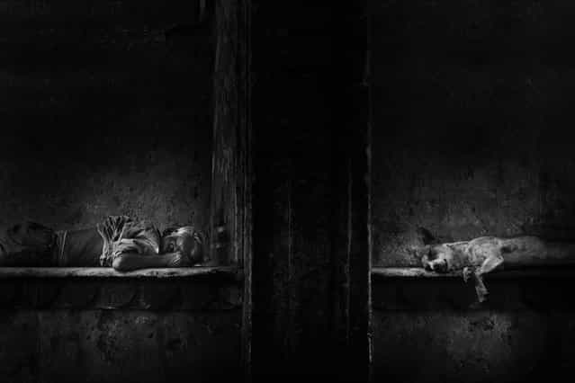 [Sleeping]. In the street of jaipur i saw the dog sleeping & in the other side there is another man sleeping also, this since make me thinking about the same relation in the same place and in the same emotion. Location: Jaipur, India. (Photo and caption by Hesham Alhunaid/National Geographic Traveler Photo Contest)