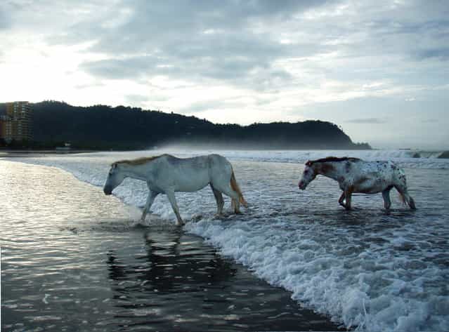 [Morning tide]. Costa Rican Beauty. Location: Jaco, Costa Rica. (Photo and caption by Anthony Sweney/National Geographic Traveler Photo Contest)