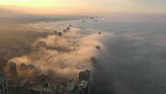 [Are We in Heaven?] This picture was taken on top of the John Hancock building (97 stories) in Chicago, Illinois when the clouds/fog rolled in from Lake Michigan. Picture was taken on my Droid DNA phone. (Photo and caption by Bob Gaudet/National Geographic Traveler Photo Contest)