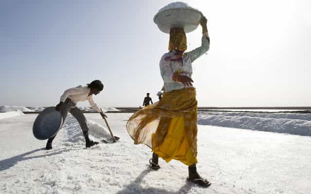 [Yellow Lady]. The hostile desert landscape in the Little Rann of Kutch in western Gujarat state is where these day labourers work. The stark, white salt is a challenging environment to work in, dry and bright but there is a peace and beauty to this place too which is overwhelming. It was the second time I visited these parts and each time I leave with a sense of joy and sorrow, the people are lowly paid but full of welcome and smiles to me even though life is tough for them as this is their environment. Location: Little Rann of Kutch, Gujarat, India. (Photo and caption by Charlotte Anderson/National Geographic Traveler Photo Contest)