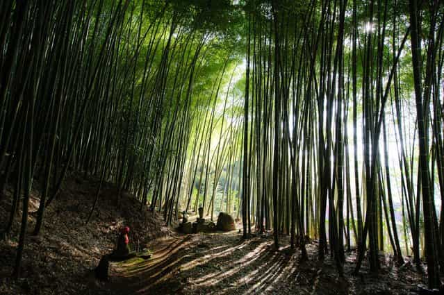 [Sesson-An Hermitage, Japan]. In Muromachi period, Sesson Shukei (1504–1589), a painting priest, used this hermitage as the foothold for his activities during his old age. No sound except the murmur of the wind can be heard. Tomb of natural stone, countless bamboos are all quietly breathing. Location: Miharu town, Fukushima Pref, Japan. (Photo and caption by Teruo Araya/National Geographic Traveler Photo Contest)