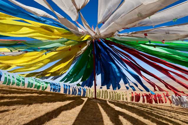 [Vivacity]. Colours and shadows dancing in the wind. Location: Near Qinghai Lake, Qinghai province, People's Republic of China. (Photo and caption by Juan Aguilar/National Geographic Traveler Photo Contest)