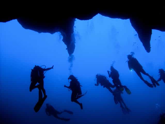 [The Big Blue]. Having done, over 200 dives, this one will always be a special one. The Great Blue Hole off the coast of Belize is an eerie descent down an ancient sink hole. The shaft is narrow, straight down and quickly eats up the sun. The darkness is disorienting. You keep pushing your limits as the temperature plummets and your heart races faster and faster. You are surrounded by a tangible silence that amplifies your fear that the unknown will suddenly lash out at you through the veil of darkness. You are now deeper than you have even been, so you are using up your oxygen faster than ever. (Photo and caption by Jitsen Chang/National Geographic Traveler Photo Contest)