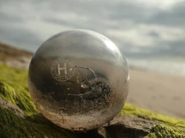 [Ocean Journey]. Found this unbroken lightbulb on the Oregon beach after high tide on April 29, 2012 . The letter's appear to be Japanese. Is it possible it's been in the ocean on it's way from Japan since the Tsunami of March 11, 2011? If so, what a journey it must have had. Location: Newport, Oregon. (Photo and caption by Anne Marcom/National Geographic Traveler Photo Contest)