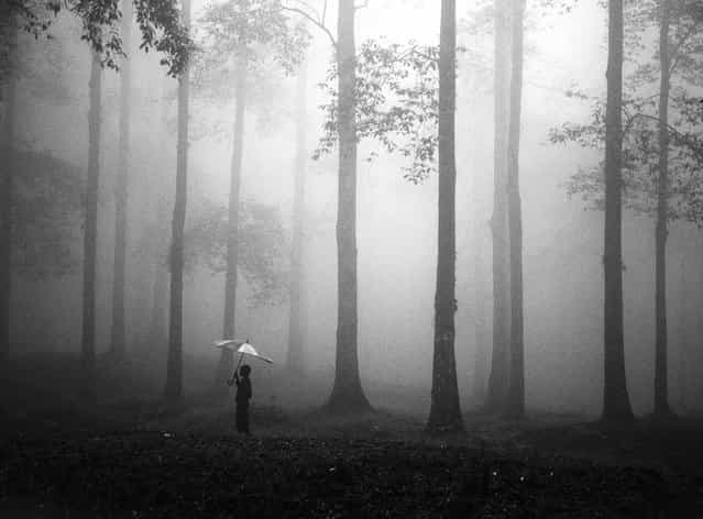 [After The Rain]. A beautiful misty forest after the rain. Taken in Gunung Halimun Salak National Park, West Java Indonesia, January 2012. (Photo and caption by Hengki Lee/National Geographic Traveler Photo Contest)
