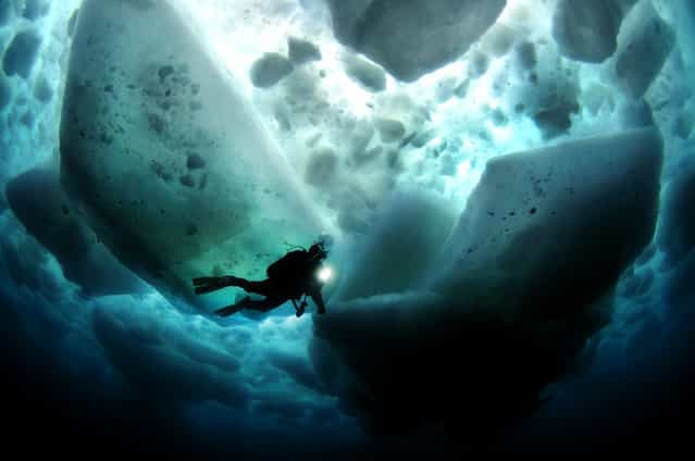 [Beneath The Ice]. A magical moment as tons of sea ice floats above while we explored the world beneath the waves. Location: Shiretoko, Japan. (Photo and caption by Aaron Wong/National Geographic Traveler Photo Contest)