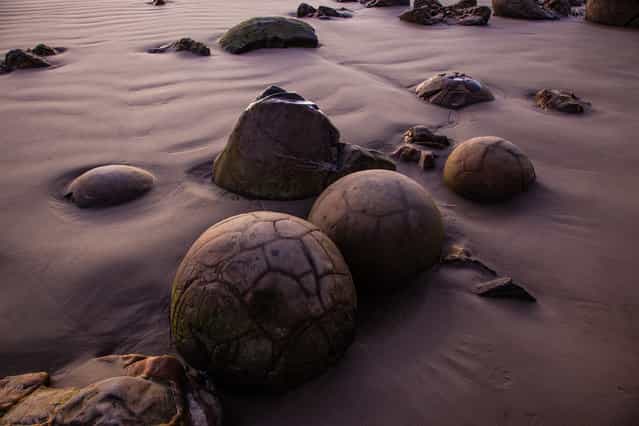 [Giant Marbles]. Like ancient giant marbles the Moeraki Boulders are strewn across Koekohe Beach on New Zealand's South Island. The light of sunrise casts an otherwordly hue on these rock formations. (Photo and caption by Marcus Haid/National Geographic Traveler Photo Contest)
