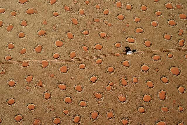 [Fairy Tale Circles from above]. What a magic moment on our honeymoon trip – sunrise in the namibian desert and all these fairy tale circles from a ballon's perspective. Wow! Location: Namib desert, Namibia. (Photo and caption by Bruno Kaeslin-Kuemmelberg/National Geographic Traveler Photo Contest)