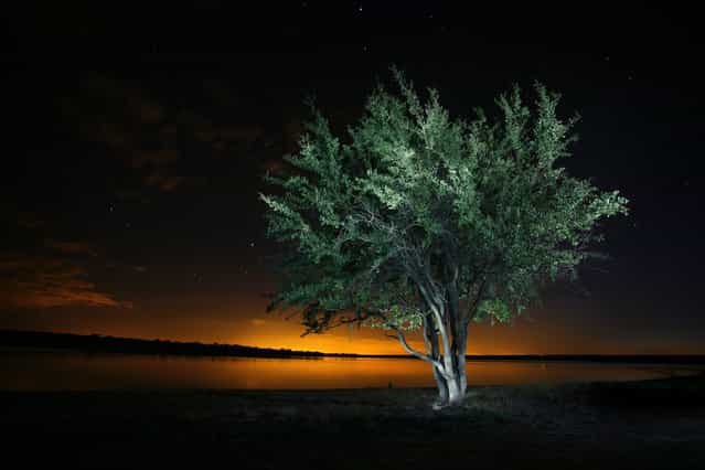 [Glowing Tree]. On a fishing trip in Mpumalanga, South Africa I took this photo of this tree next to Klipvoor Dam. The golden light in the background was cast by a nearby settlement's lights. I lit the tree up with a torch painting it over a period of a minute and a half. (Photo and caption by Erlo Brown/National Geographic Traveler Photo Contest)