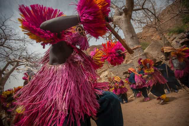 [Dance]. Dance in the village of Tireli Dogon, the Dogon country, Sahel, Mali. (Photo and caption by Anthony Pappone/National Geographic Traveler Photo Contest)