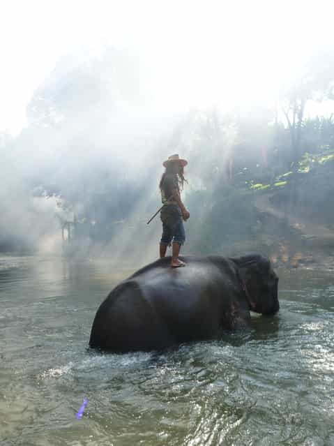 [A mahout and his elephant]. A mahout casually looks back as he rides his elephant across the Mae Wang river at the Chai Lai Orchid in Chiang Mai, Thailand. (Photo and caption by Alexandra Pham/National Geographic Traveler Photo Contest)