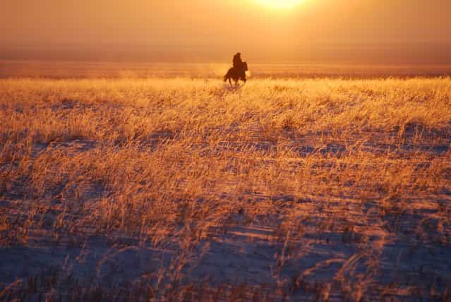 [Kazakh Horseman Riding Through Winter Steppe of Fire]. Driving through hours and hours of steppe with Kazakh colleagues in January we stopped on the side of the road to stretch our legs in –30 C temperatures as the winter sun descended. From a village to the east, barely visible from the main road, came a Kazakh rider, galloping through the frozen grass. I was able to capture a series of beautiful photos as the rider passed beside us and on towards the sunset, heading to who knows where across the steppe in the bitter cold at sundown. Location: In the vicinity of Amankaragaj, Kostanay Province, Kazakhstan. (Photo and caption by Josh Brann/National Geographic Traveler Photo Contest)