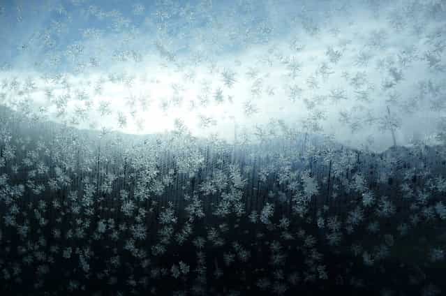 [Snowflakes]. Frozen snowflakes on the sidewindow of the car while driving towards the slopes for a great day of snowboarding. Location: Leissigen, Switzerland. (Photo and caption by Mark Timmermans/National Geographic Traveler Photo Contest)