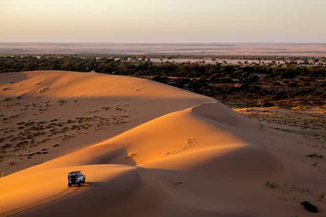 [Life as opening]. I took that photo in my African trip with Land Rover company. Location: Namibia, Africa. (Photo and caption by Evgeny Vasenev/National Geographic Traveler Photo Contest)