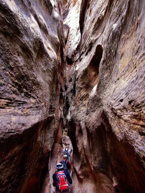 [The Narrows]. Hiking Burro Wash, a classic example of [slot canyons] which so typify the canyon country of southern Utah; deep, narrow secret places within the Waterpocket Fold. Location: Capital Reef National Park, Fruita, Utah. USA. (Photo and caption by Mark Siebels/National Geographic Traveler Photo Contest)