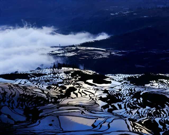 [Terraces at Yunan – China]. Wake up at cold and wet midnight, and awaiting the sun rise for my photograph. Travel thru foggy road with mud, arrived this terraces. Fog came and gone near 7 times, and the sun shine leaking at the top of mountain. Orange and golden color project on the surface of the terraces in order to construct this picture. (Photo and caption by Mike Cheng/National Geographic Traveler Photo Contest)