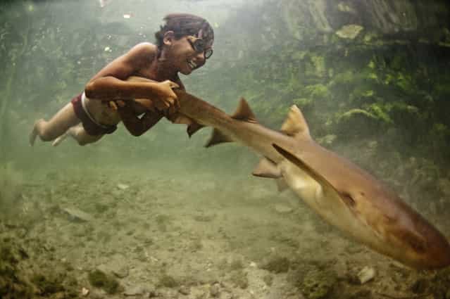 [Enal with Pet Shark]. Enal, a young sea nomad, rides on the tail of a tawny nurse shark, in Sulawesi, Indonesia. Marine nomadism has almost completely disappeared in South East Asia as a result of severe marine degradation. I believe children such as Enal have stories that could prove pivotal in contemporary marine conservation. (Photo and caption by James Morgan/National Geographic Traveler Photo Contest)