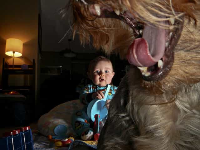 [The Boy and the Beast]. To me, this image defines spontaneous. Spontaneous in that it was taken at about 1:30am after my 7 month old son decided he wanted to wake up and play with some toys. Spontaneous in that I decided at 1:30 in the morning to test my ability to trigger an off camera flash with the Nikon point and shoot I took this picture with. And spontaneous in that our dog Molly decided to walk in front of the camera and yawn the moment I took this shot. I love this picture. Our dog is being lit by the small flash on the point and shoot, my son is being lit by a hot shoe flash set to slave mode. Location: Issaquah, WA USA. (Photo and caption by Eric Krebs/National Geographic Traveler Photo Contest)